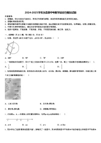 2024-2025学年永嘉县中考数学适应性模拟试题含解析