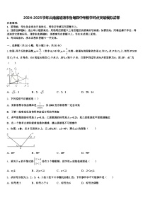 2024-2025学年云南省昭通市鲁甸县中考数学对点突破模拟试卷含解析