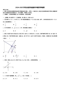 2024-2025学年运城市垣曲县中考数学押题卷含解析