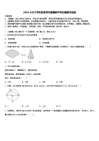 2024-2025学年张家界市桑植县中考五模数学试题含解析
