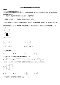 2025届平昌县中考数学模试卷含解析