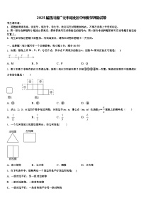 2025届四川省广元市昭化区中考数学押题试卷含解析