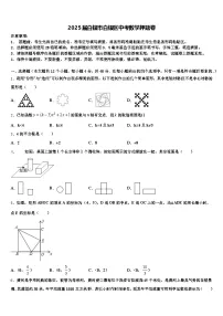 2025届白银市白银区中考数学押题卷含解析