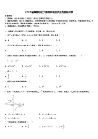 2025届昌都地区丁青县中考数学全真模拟试卷含解析
