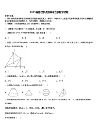2025届陈巴尔虎旗中考五模数学试题含解析