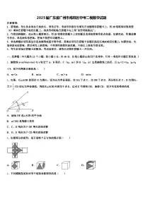 2025届广东省广州市海珠区中考二模数学试题含解析