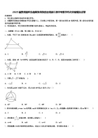 2025届贵州省黔东南苗族侗族自治州麻江县中考数学对点突破模拟试卷含解析
