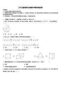2025届洛阳市汝阳县中考数学模试卷含解析