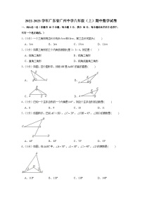 2022-2023学年广东省广州市中学八年级上学期期中数学试卷（含答案）