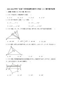 2023-2024学年广东省广州市华南师大附中八年级上学期期中数学试卷（含答案）
