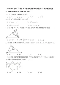 2023-2024学年广东省广州市华南师大附中八年级上学期期中数学试卷（含答案）