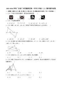 2023-2024学年广东省广州市越秀区铁一中学八年级上学期期中数学试卷（含答案）