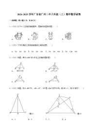 2024-2025学年广东省广州市第二中学八年级上学期期中数学试卷（含答案）