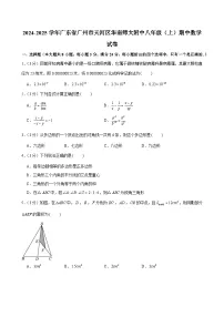 2024-2025学年广东省广州市天河区华南师大附中八年级上学期期中数学试卷（含答案）