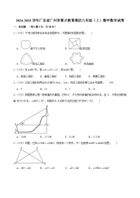 2024-2025学年广东省广州市育才教育集团八年级上学期期中数学试卷（含答案）