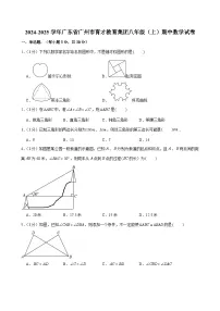 2024-2025学年广东省广州市育才教育集团八年级上学期期中数学试卷（含答案）