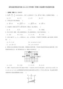 2024-2025学年深圳实验学校初中部八年级上学期期中数学试卷及答案