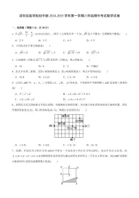 2024-2025学年深圳实验学校初中部八年级上学期期中数学试卷及答案