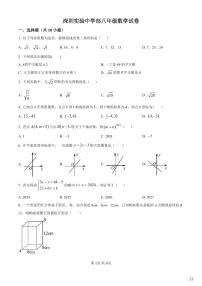 2024-2025学年深圳实验学校中学部八年级上学期期中数学试卷含答案