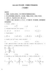 2024-2025学年深圳市宝安区7校联考八年级上学期期中数学试卷