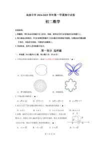 2024-2025学年深圳市高级中学八年级上学期期中数学试卷及答案