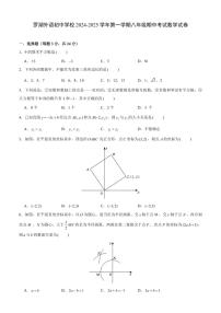 2024-2025学年深圳市罗湖外语初中学校八年级上学期期中数学试卷及答案