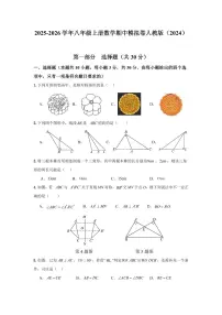 2025-2026学年八年级上册数学期中模拟卷人教版含答案（2024）