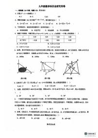 广东省佛山市南海区桂城街道平洲第二初级中学2025-2026学年九年级上学期10月月考数学试题