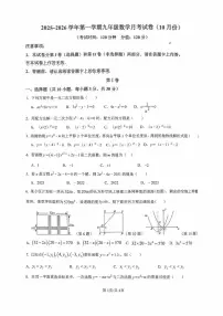 广东省湛江市雷州市第八中学2025-2026学年九年级上学期10月月考数学试题