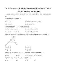 2025-2026学年四川省成都市天府新区成都实验外国语学校（西区）九年级上学期10月月考数学试题-自定义类型