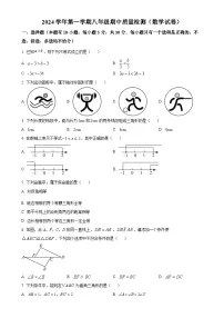 浙江省温州市龙湾区2024—2025学年上学期八年级期中数学检测试卷（原卷版）-A4