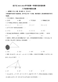 湖北省武汉市经开区2023-2024学年八年级上学期期中数学模拟试题（原卷版）-A4