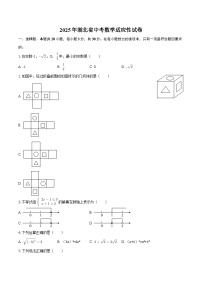 2025年湖北省中考数学适应性试卷-自定义类型