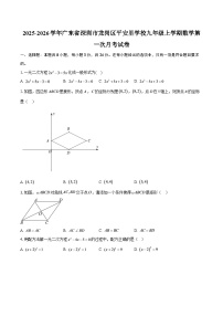 2025-2026学年广东省深圳市龙岗区平安里学校九年级上学期数学第一次月考试卷-自定义类型