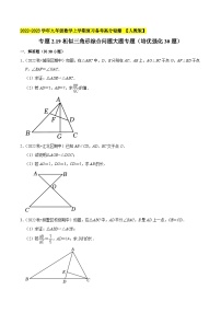 专题2.19相似三角形综合问题大题专题（培优强化30XI题）-2022-2023学年九年级数学上学期复习备考 习题 【人教版】 含答案