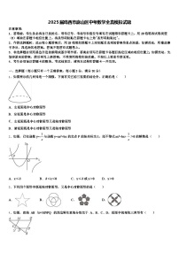 2025届鸡西市麻山区中考数学全真模拟试题含解析