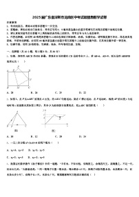 2025届广东省深圳市龙岗区中考试题猜想数学试卷含解析