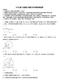 2025届广东省湛江市廉江市中考数学模试卷含解析