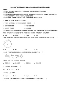 2025届广西壮族自治区来宾市兴宾区中考数学考试模拟冲刺卷含解析