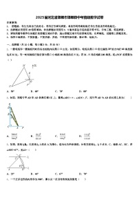 2025届河北省邯郸市邯郸县中考猜题数学试卷含解析