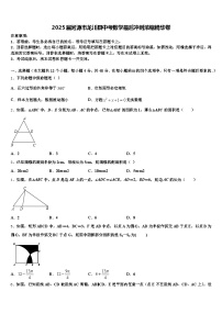 2025届河源市龙川县中考数学最后冲刺浓缩精华卷含解析