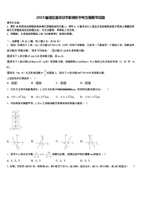 2025届湖北省武汉市新洲区中考五模数学试题含解析