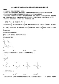 2025届黑龙江省鹤岗市兴安区中考数学最后冲刺浓缩精华卷含解析
