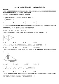 2025届广东省云浮市罗定市十校联考最后数学试题含解析
