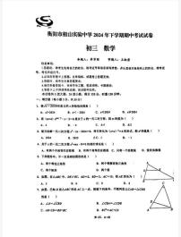 湖南省衡阳市船山实验中学2024-2025学年九年级上学期数学期中测试卷
