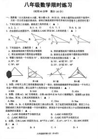 江苏省徐州市树人初级中学2025-2026学年八年级上学期限时练习数学试卷（月考）