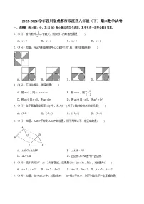 2023-2024学年四川省成都市双流区八年级（下）期末数学试卷