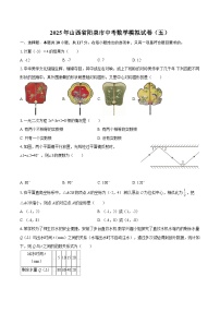 2025年山西省阳泉市中考数学模拟试卷（五）-自定义类型