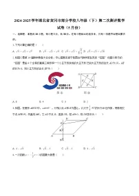 2024-2025学年湖北省黄冈市部分学校八年级（下）第二次测评数学试卷（5月份）-自定义类型