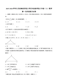 2025-2026学年江苏省南京师范大学苏州实验学校八年级（上）数学第一次阶段练习试卷-自定义类型